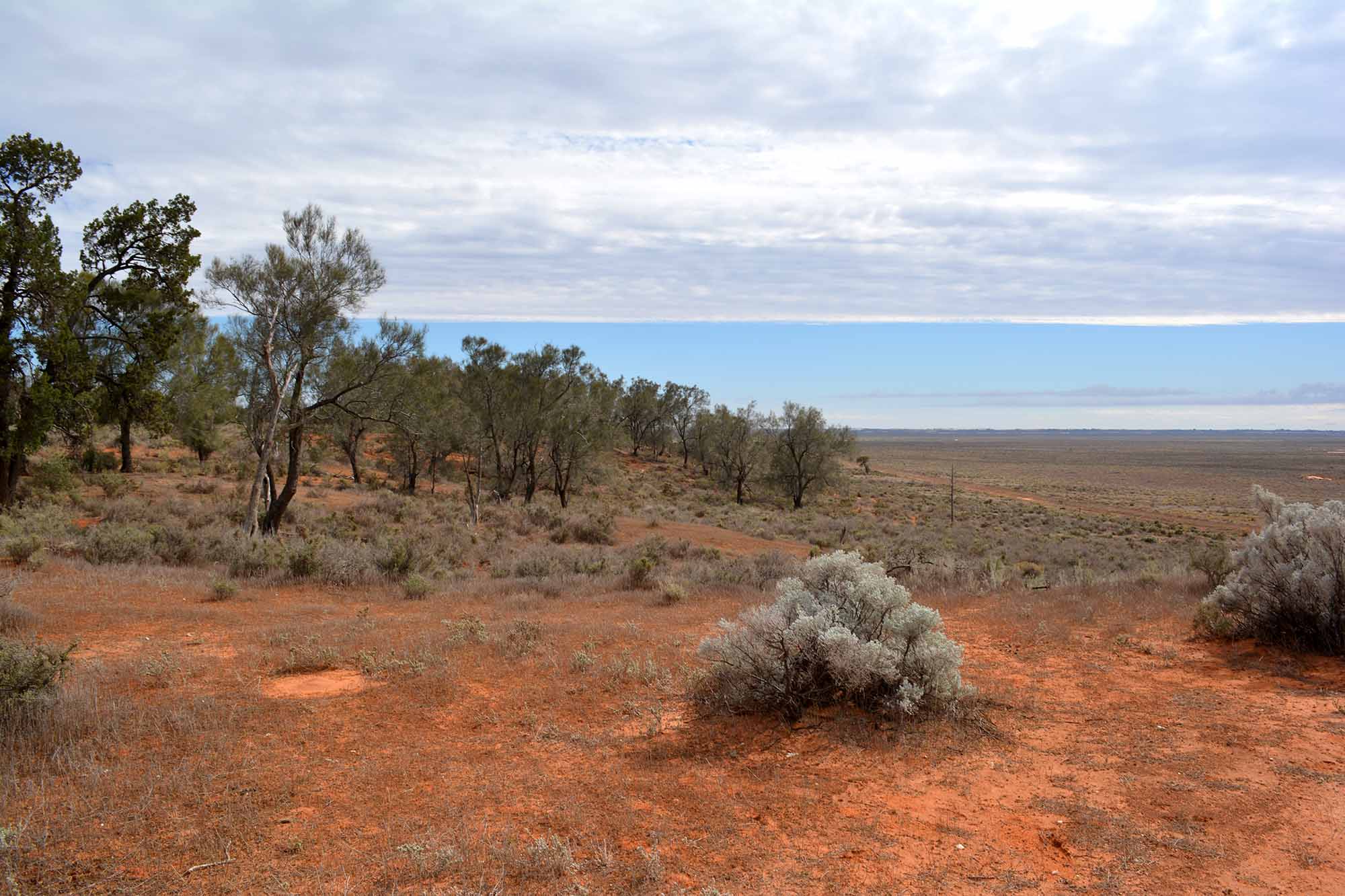 ERC Seminar: Indigenous Research Methodologies and working with local communities